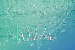 wunder2