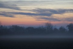 bodennebel