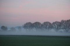 nebellandschaft