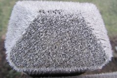 frost
