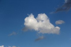 herzwolke