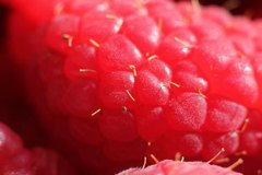 himbeeren