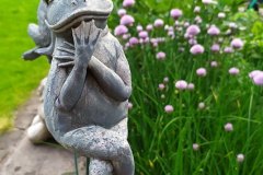 frosch